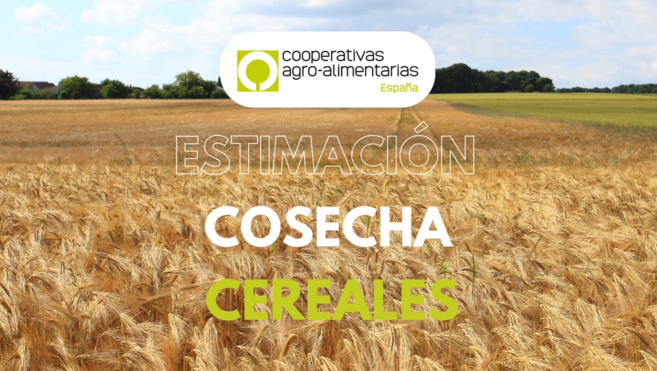 Segunda estimacin de cosecha Cooperativas.